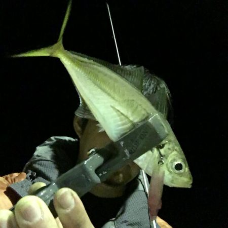 ルアーでアジング